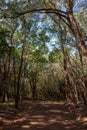 Taiwan`s Four Lakes Coastal Forest Demonstration Base, with a wide variety of plants!