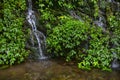 Taiwan, Taiping Mountain, Jianqing Ancient Road, forests, trails, mountain springs