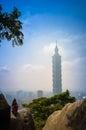 Taiwan Travel Nature Image : The Whole View of Taipei 101 skyscraper