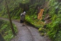 Taiwan, Yilan County, Taiping Mountain, Jianqing Ancient Road, trails, tourists