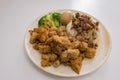 Taiwanese style braised pork rice and popcorn chicken