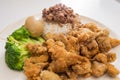 Taiwanese style braised pork rice and popcorn chicken