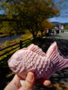 Taiyaki fish shaped with pink of sakura, Japanese sweets in hand On the walking streets.