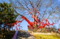 Taiyuan scene-Prayer trees of Kaihuo temple