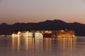 Taj lake palace at night Royalty Free Stock Photo
