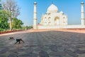 Taj Mahal, Blue sky, Travel to India Royalty Free Stock Photo