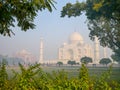 Taj Mahal in foggy morning Royalty Free Stock Photo