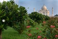 Taj Mahal Royalty Free Stock Photo