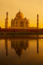 Taj Mahal reflection in the yamuna river.