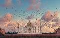 Taj Mahal scenic sunset view with pink sky and birds flying, in Agra, India. Royalty Free Stock Photo