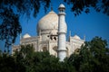 Taj Mahal from Garden