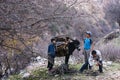 Tajikistan. Varzob. 12.12.2010. Children collect firewood and loaded it on a donkey