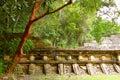 Pyramid in Tajin veracruz mexico XXXIV