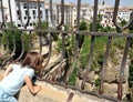 Tajo de Ronda, Malaga province, Andalusia, Spain