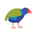 Takahe flightless bright bird Royalty Free Stock Photo