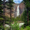 Takakkaw Falls Royalty Free Stock Photo