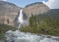 Takakkaw Falls and the Yoho River