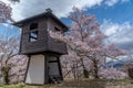 Takato Castle Ruins cherry blossoms