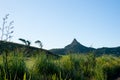 Takatoka Peak in Northland New Zealand