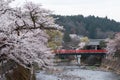 Nakabashi bridge with sakura cherry blossom in April