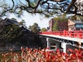 Tourists on red Nakabashi bridge over the Miyagawa river in Hida-Takayama, Japan