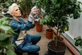 Take care of house plants. Woman taking care of plants.