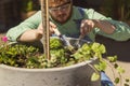 Portrait of redheaded bearded man, farmer working in the garden, outdoors Concept of professional occupation, work