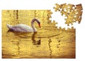 Take care of your beauty - White swan in golden background - concept image in jigsaw puzzle shape