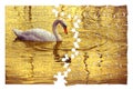 Take care of your beauty - White swan in golden background - concept image in jigsaw puzzle shape