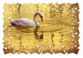 Take care of your beauty - White swan in golden background - concept image in jigsaw puzzle shape