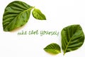 Take care your self message card with leaf arrangement flat lay postcard style Royalty Free Stock Photo