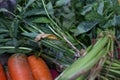 Take a closer look at the carrots and kale you bought.