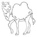 Camel Adventure: A Cute Coloring Page for Kids Royalty Free Stock Photo