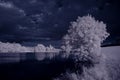Infrared photography - ir photo of landscape with tree under sky with clouds - the art of our world and plants in the infrared cam Royalty Free Stock Photo