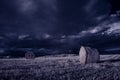 Infrared photography - ir photo of landscape with tree under sky with clouds - the art of our world and plants in the infrared cam Royalty Free Stock Photo