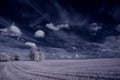 Infrared photography - ir photo of landscape with tree under sky with clouds - the art of our world and plants in the infrared cam Royalty Free Stock Photo