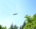 Take-off aircraft on the background of the jungle and trees Royalty Free Stock Photo