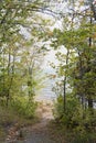 Take the path surrounded by trees to the beach at Lake Michigan.