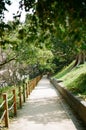 Take pictures with film photos. And no people,Long stretched wooden fence path and green trees