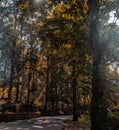 take shelter under a shady tree