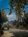 take shelter under a tree