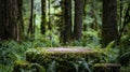 Take a walk on the wild side with this rustic podium adorned with whimsical moss and lush greenery. Let the natural