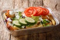 Takeaway Dutch kapsalon from french fries, chicken, fresh salad