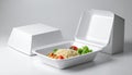 Takeaway Food Container with Meal and Lid Royalty Free Stock Photo