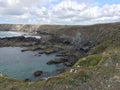 Cornish Cliffs Royalty Free Stock Photo
