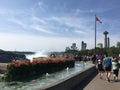 Niagara Falls Surroundings
