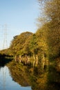 Canal Water Tree Reflections Autumn