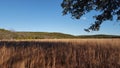 Field in glen rose texas