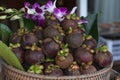 close-up of a woven basket filled with mangosteen fruits displayed