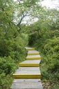 Walkway on the dune section of the Hellcat trail